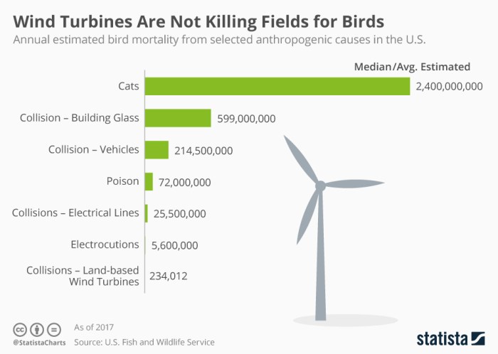 Spoor uses ai to save birds from wind turbines