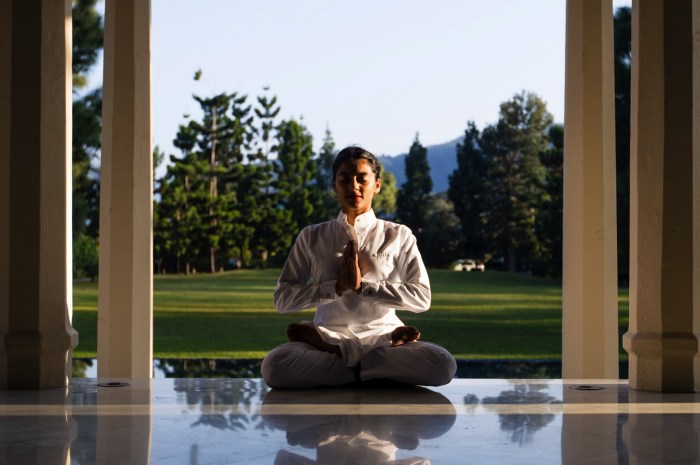 The way offers a chance to meditate alongside a zen master