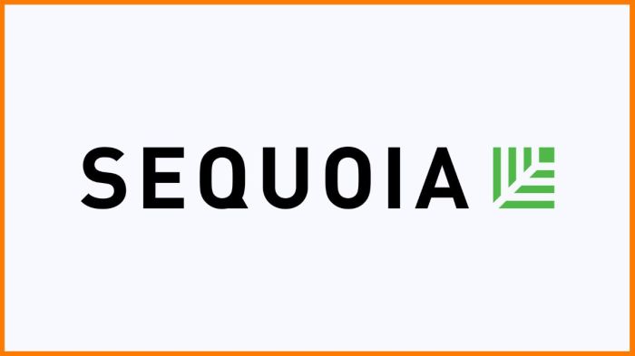 Sequoia bets big on stripe latam fintechs clean up and one african startups outsized series a