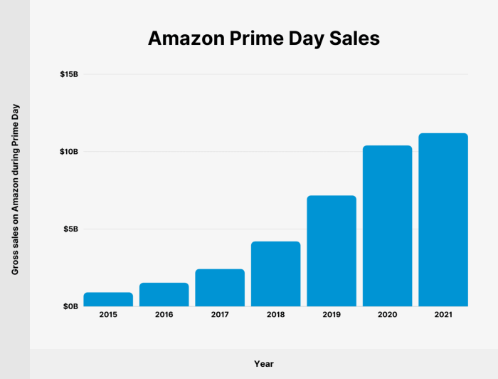 Amazon prime day 2024 sales hit record 14 2 billion