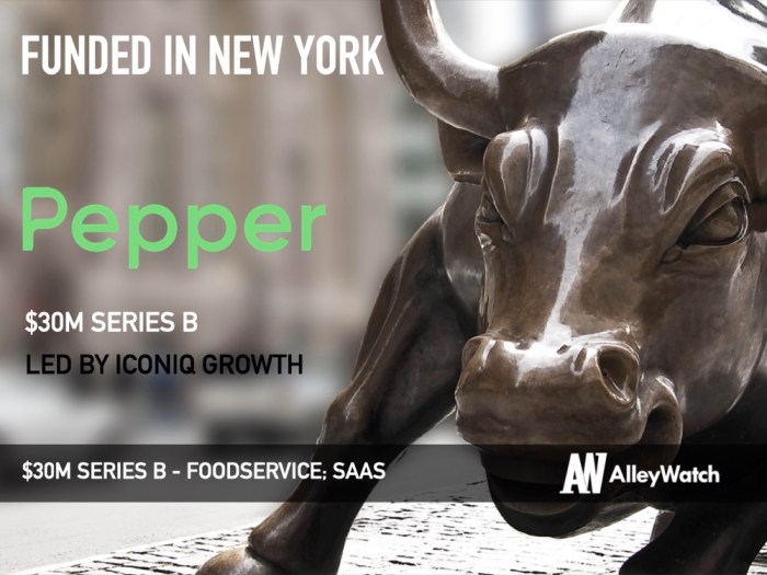 Pepper iconiq startup foodservice ecommerce 30m